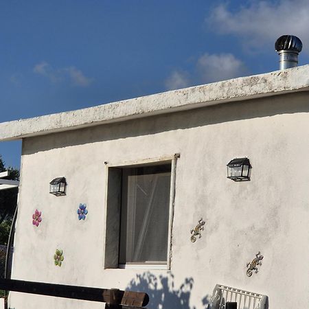 Villa Elvira Country House Belvedere Marittimo Esterno foto