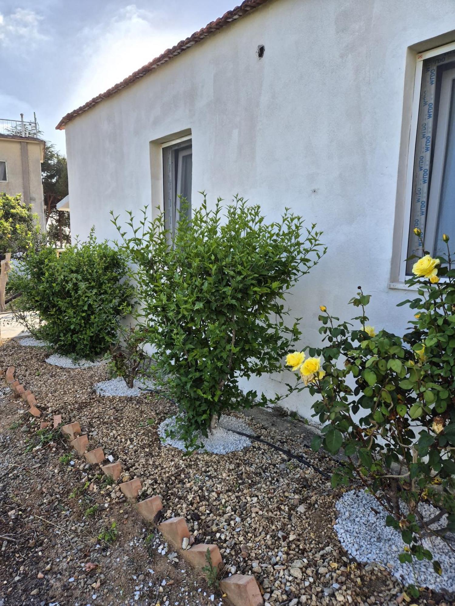 Villa Elvira Country House Belvedere Marittimo Esterno foto