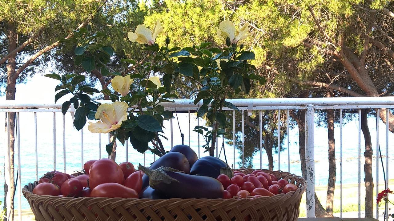 Villa Elvira Country House Belvedere Marittimo Esterno foto